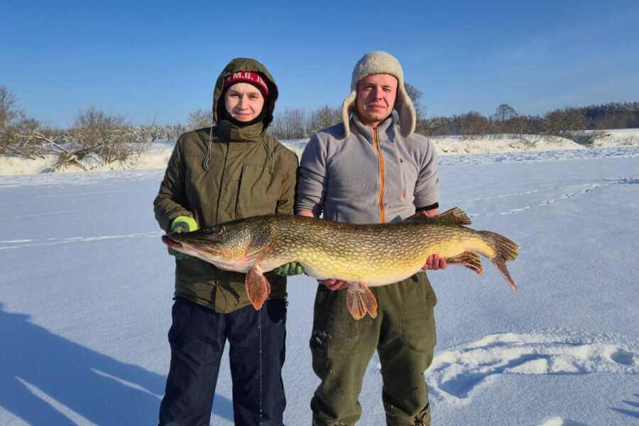 На Днепре в Могилевской области словили щуку, размером с мини-крокодила — 137 сантиметров!