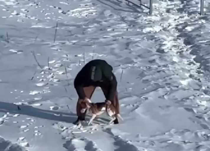 В соцсетях завирусилось видео с «суровым воспитанием» собаки на Могилевщине