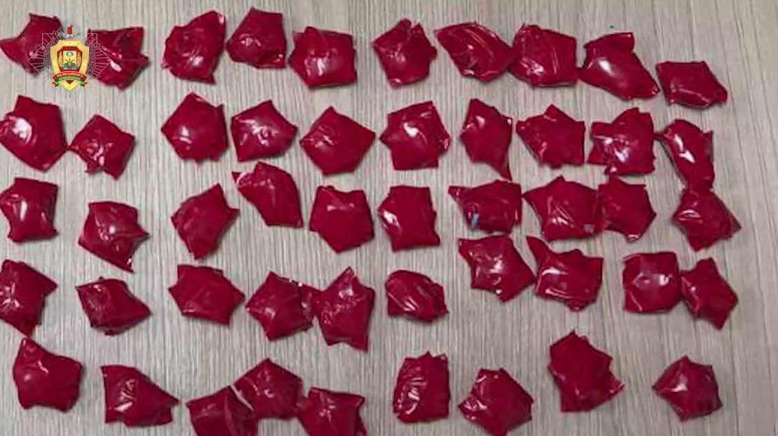 Правоохранители Могилева пресекли деятельность наркосбытчика