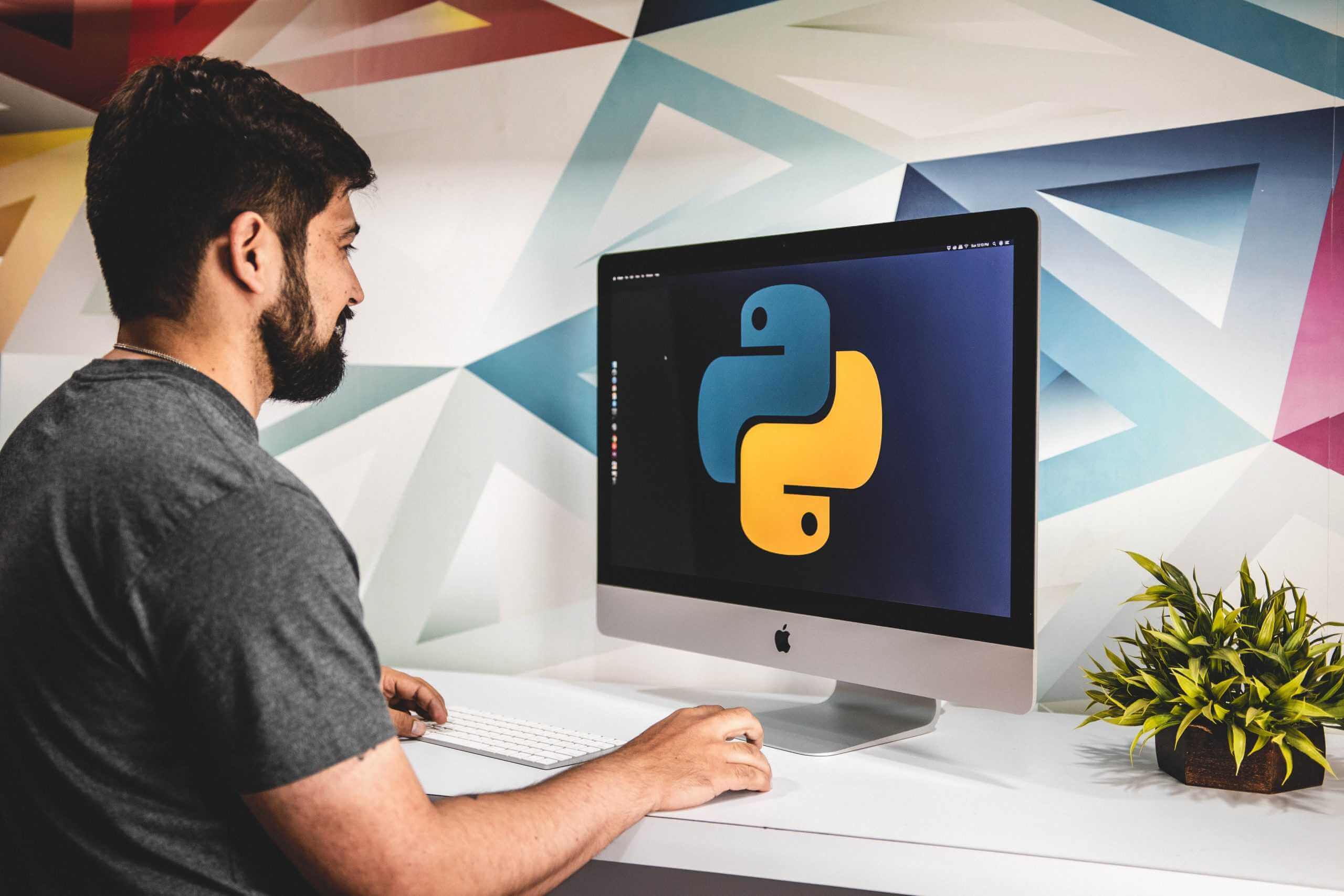 Что такое аутстаффинг Python-разработчика и как он работает
