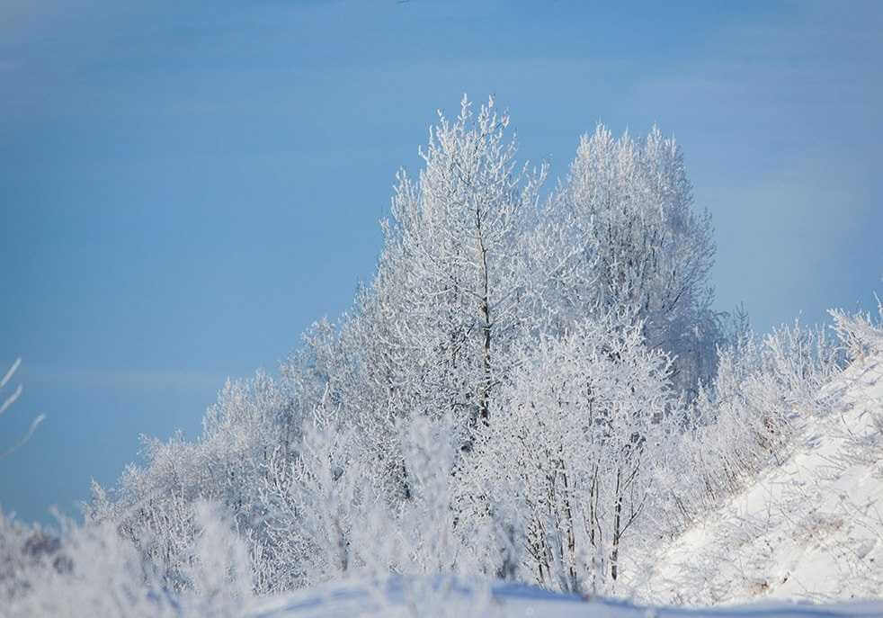 2 февраля в Могилеве будет морозно и ясно - прогноз погоды