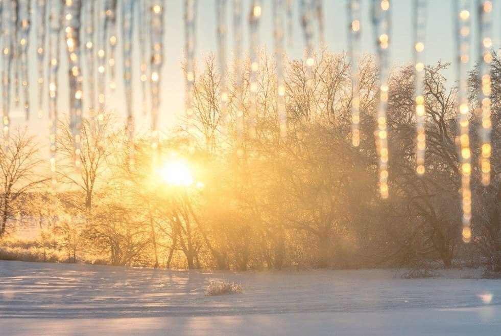 Белгидромет предупредил об усилении морозов на следующей неделе в Могилевской области