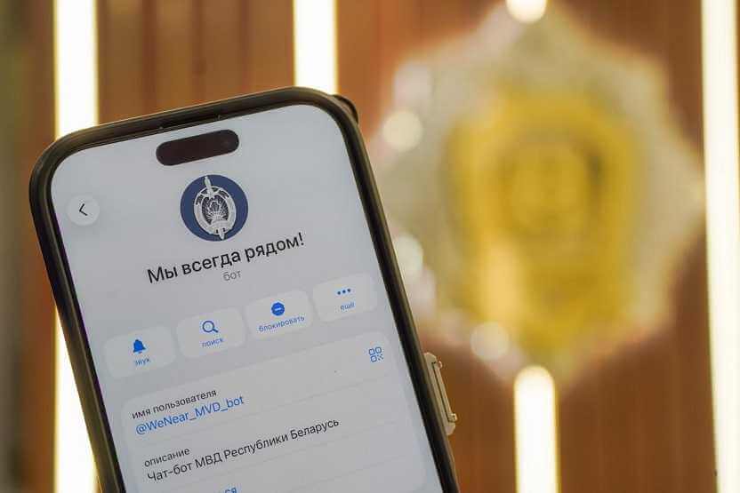 Безопасность в один клик: жители Могилевщины осваивают чат-бот МВД