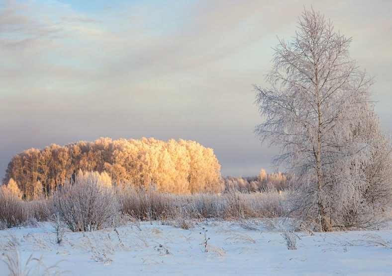 Прогноз погоды в Могилеве 12 февраля четверг