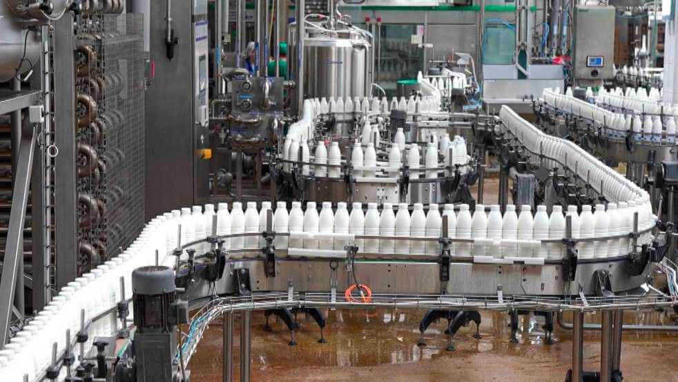 Стало известно, куда уходит половина могилевской молочки