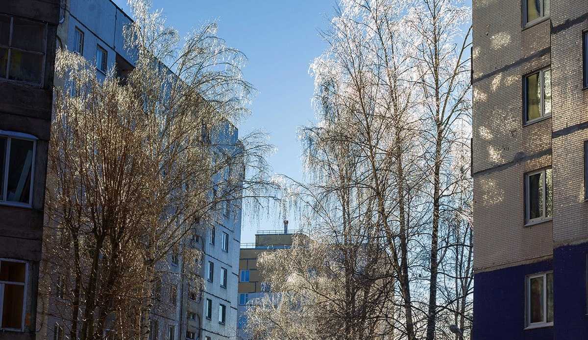 Выяснили кому в Могилеве дают арендную квартиру