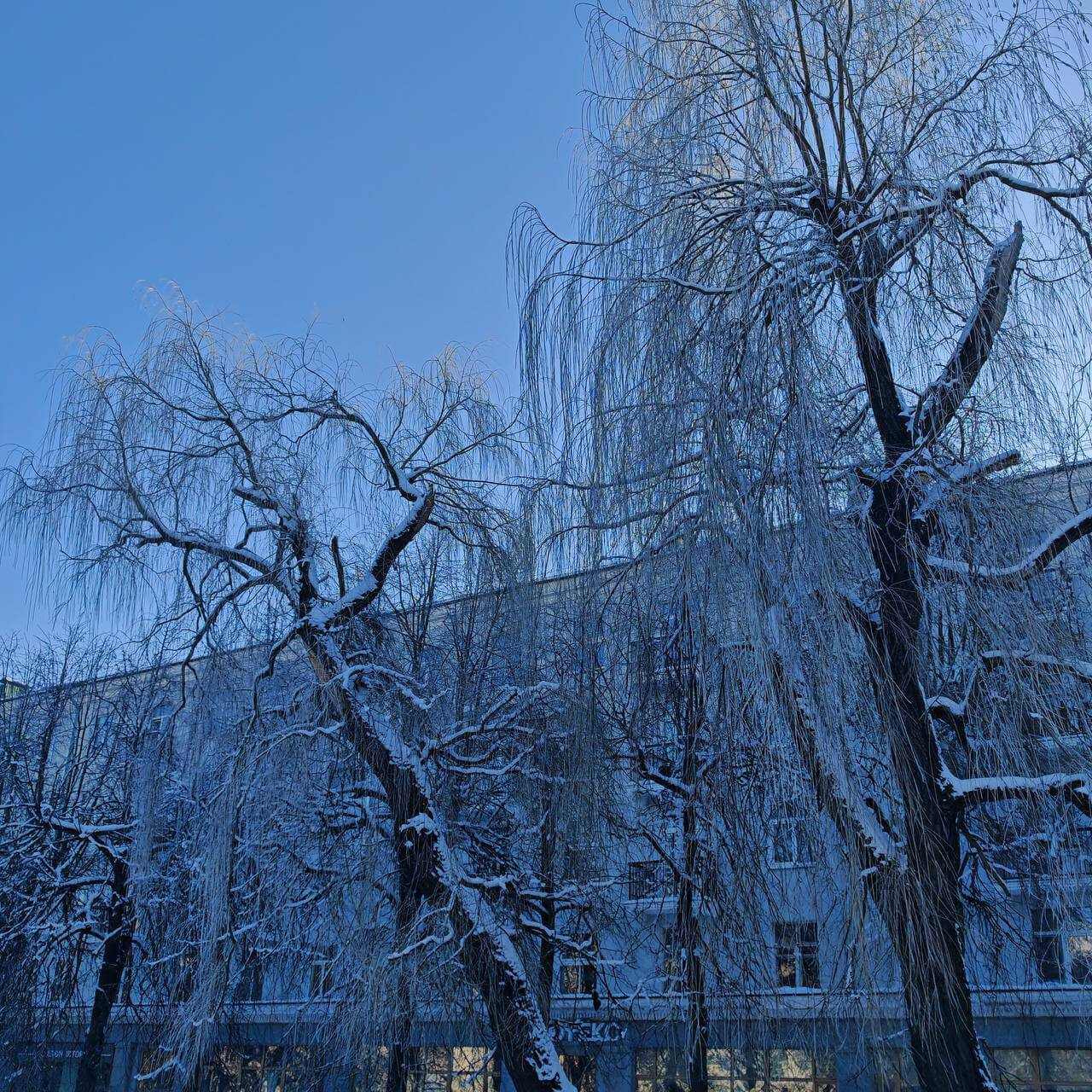 Прогноз погоды в Могилеве 16 февраля понедельник