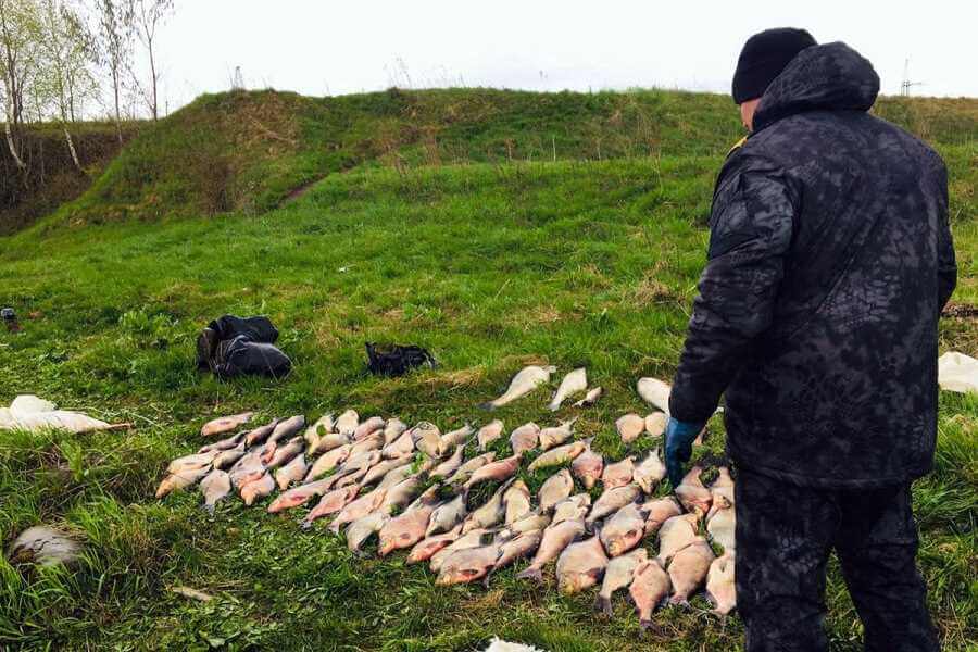 57 километров рыболовных сетей — браконьеры Могилевской области установили белорусский антирекорд