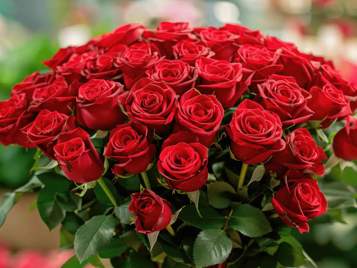 Как выбрать композицию из 51 розы: акцент на масштабе и деталях