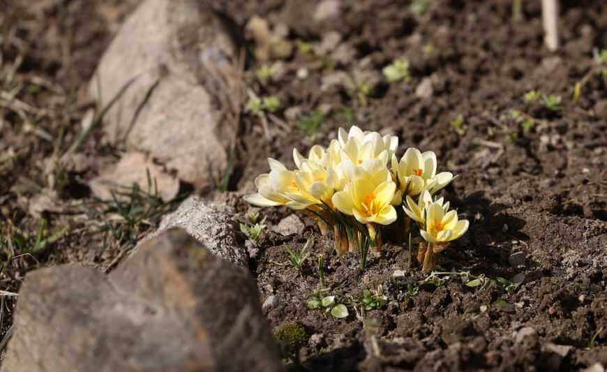 Стало известно, какой будет погода на Могилевщине в начале следующей недели