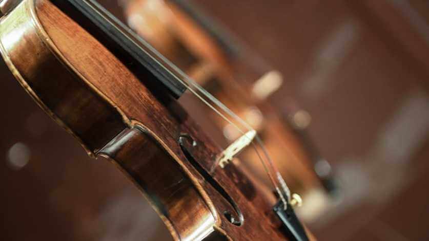 Юных могилевчан 25 марта приглашают на уникальную концертную программу