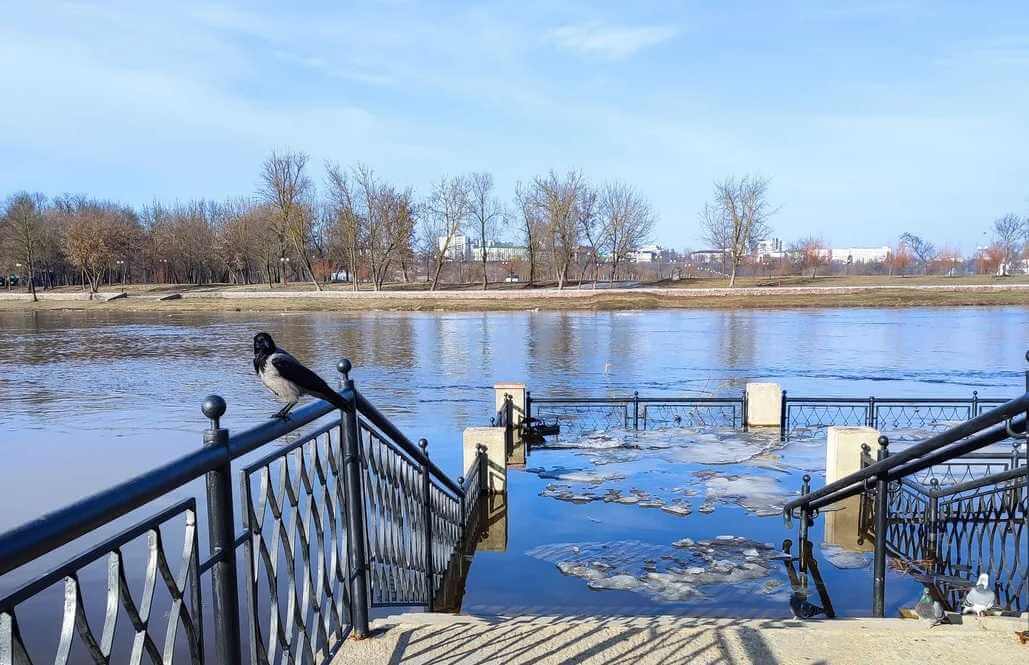 Стоит ли жителям Могилева готовиться к весенним паводкам?