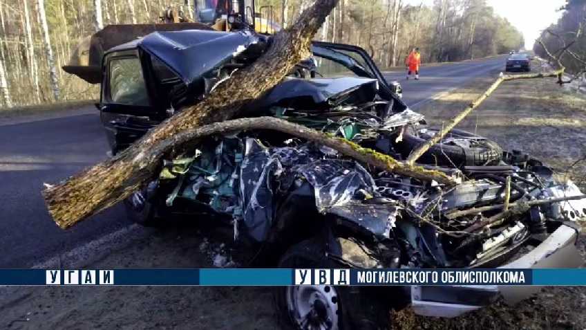 На Могилевщине водитель уснул за рулём и попал в ДТП