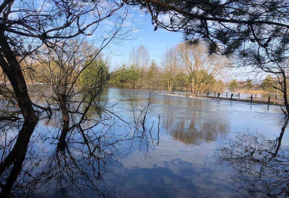 Погода на 23 марта: синоптики рассказали, сколько солнца и осадков ожидается в Могилевской области