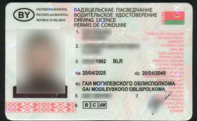 На Могилевщине остановили водителя с липовым водительским удостоверением — оказалось, что он заказал его в сети и получил по почте