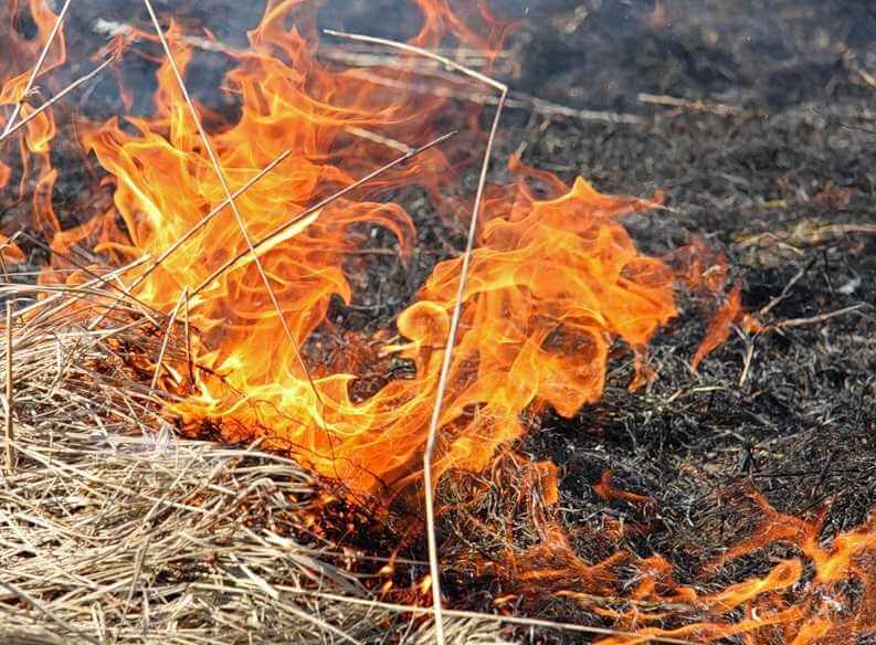 На Могилевщине два человека пострадали из-за сжигания мусора и сухой травы