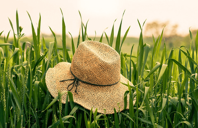 Могилевский юрист ответил, могут ли белорусы брать отпуск с выходного дня