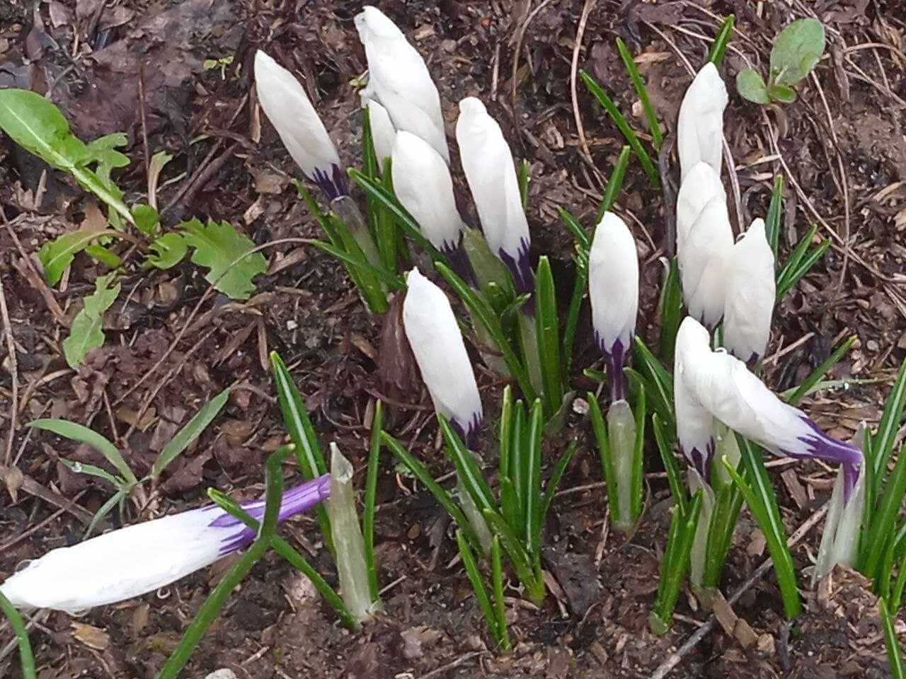 Стало известно, какой будет погода на Могилевщине в начале следующей недели