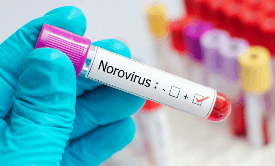 Заболеваемость в Могилеве в полтора раза ниже, чем за аналогичный период прошлого года