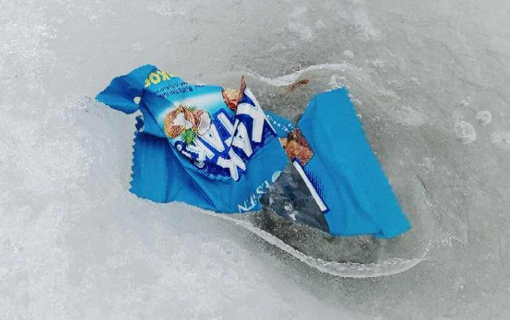 Могилевские рыбаки превратили Фатинский залив в мусорный полигон