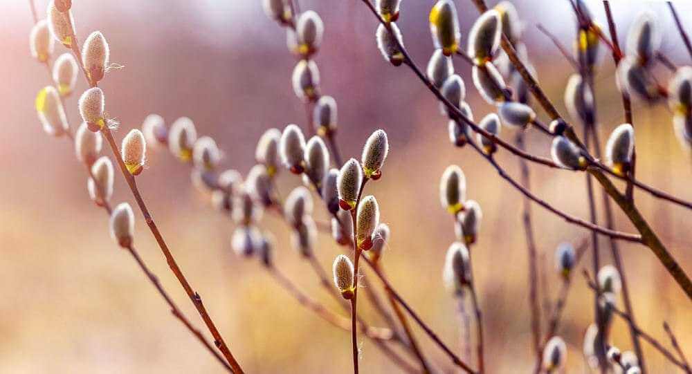 Апрель-2026: как и сколько могилевчане будут работать и отдыхать