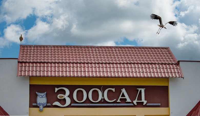 Могилевчанам рассказали, когда откроется новый контактный зоопарк в Буйничах