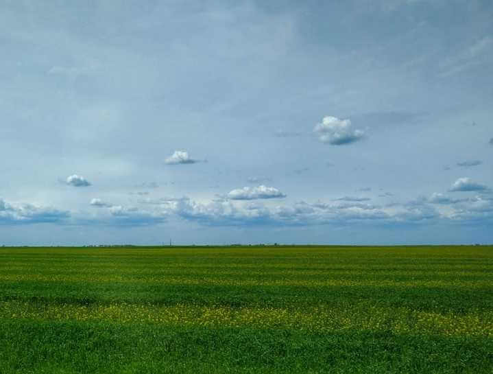 Какой будет погода в Могилевской области на этой неделе?