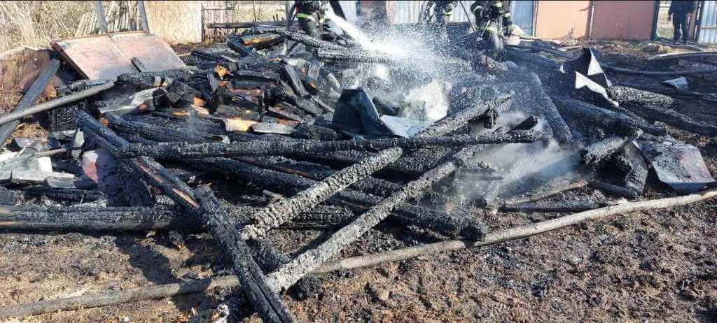 28 раз загорелась трава на Могилевщине за сутки — уничтожены сараи, пострадал дом