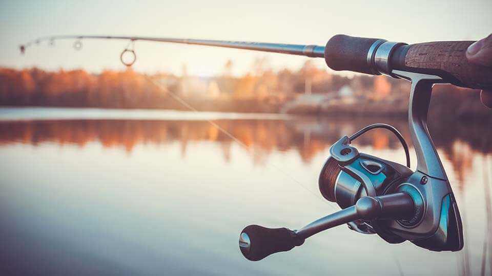 С 1 апреля на Могилевщине стартует специальное мероприятие «Нерест»