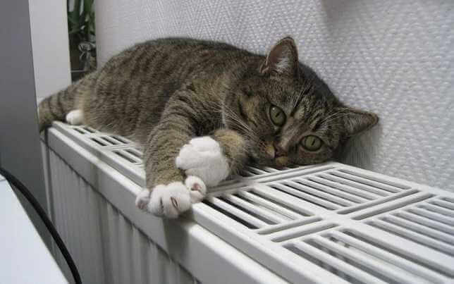 Когда в Могилеве отключат отопление?