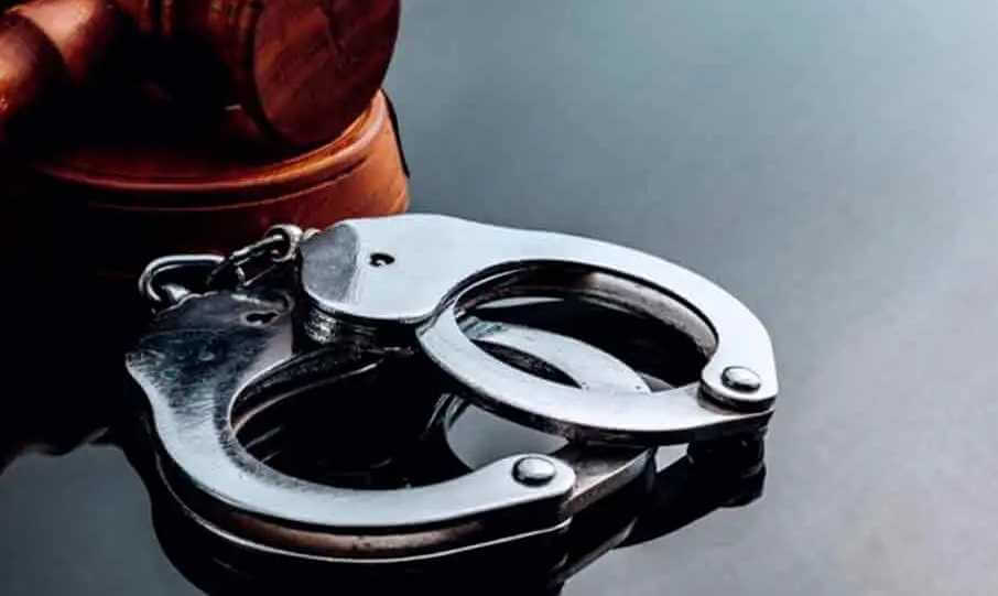 В Могилеве мужчина забрал из магазина товаров на 8 тысяч рублей по поддельным документам