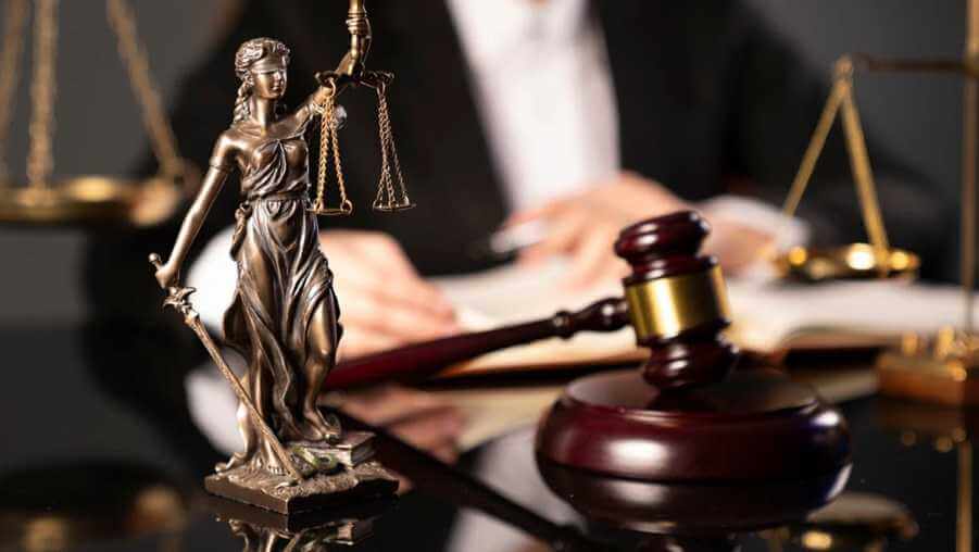 Всю неделю могилевские юристы будут принимать бесплатно