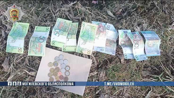 Поживился за чужой счет: в Могилеве мужчина обокрал тещу работодателя на 4000 рублей