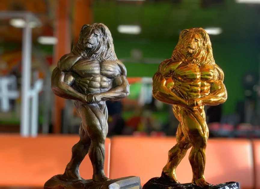 «Кубок железного льва» пройдет в Могилеве 18 апреля