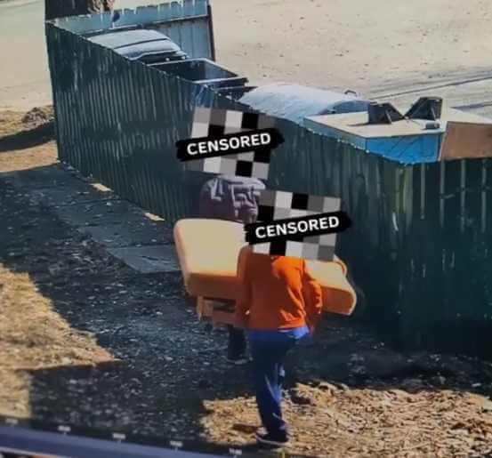 В Могилеве за мусорками в реальном времени следят камеры