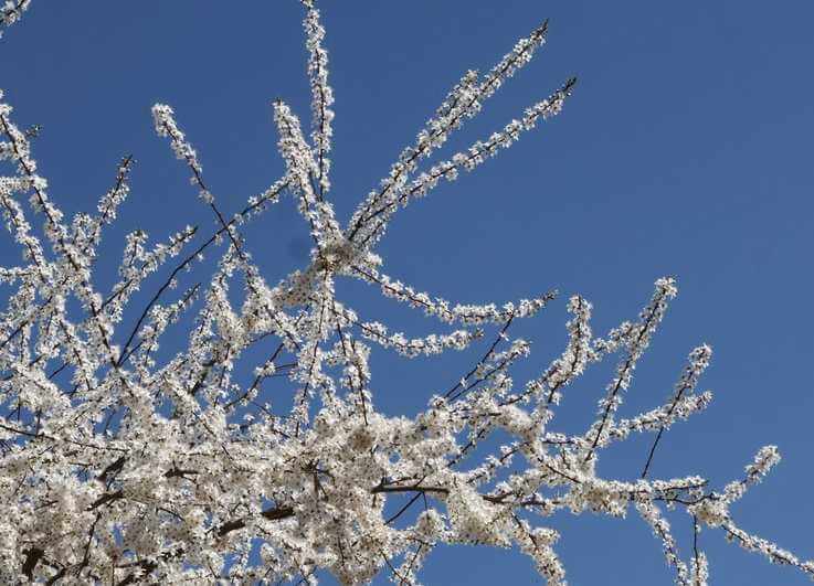 Прогноз погоды в Могилеве 18 апреля суббота