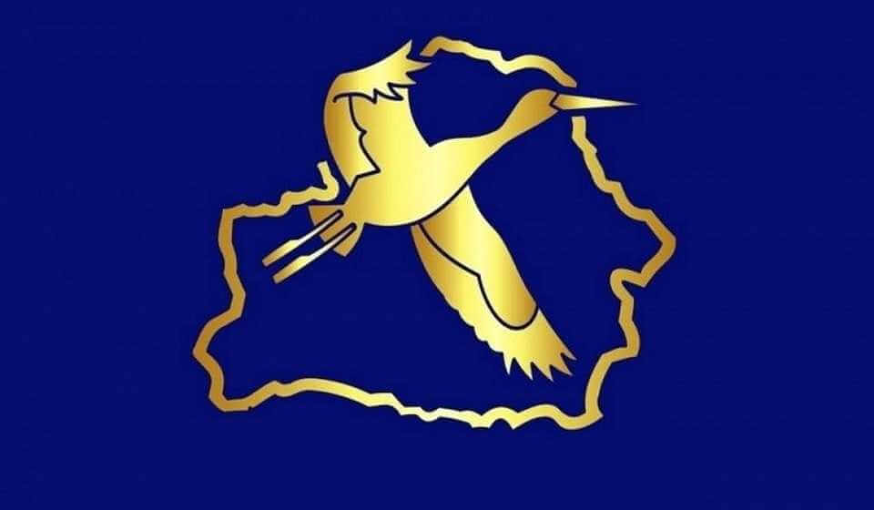 От строительного до медицинского профиля: студотрядам Могилевской области предлагают работу на любой вкус