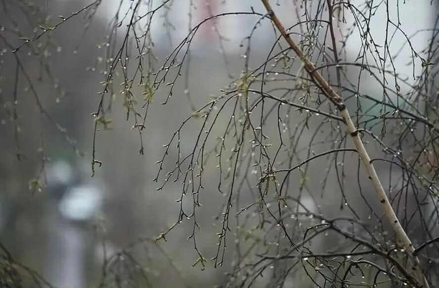 В Могилевской области в начале следующей недели похолодает