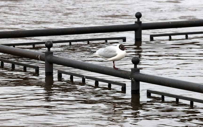 Гидрологическая обстановка в Могилевской области на 3 апреля 2026 года