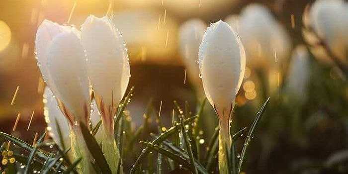 В воскресенье 5 апреля погода в Могилеве испортится