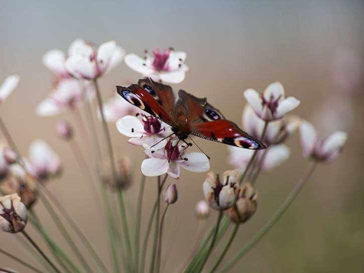 Прогноз погоды в Могилеве 4 апреля суббота