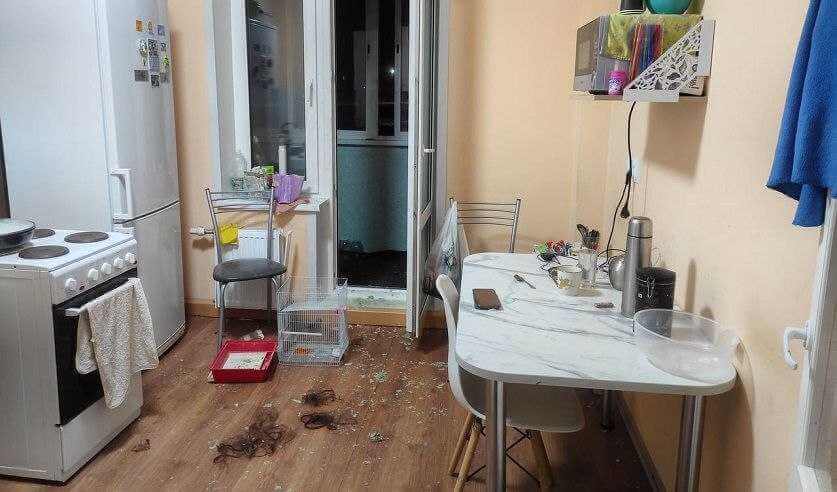 Избивал и сбросил с балкона: могилевчанина осудили за покушение на убийство