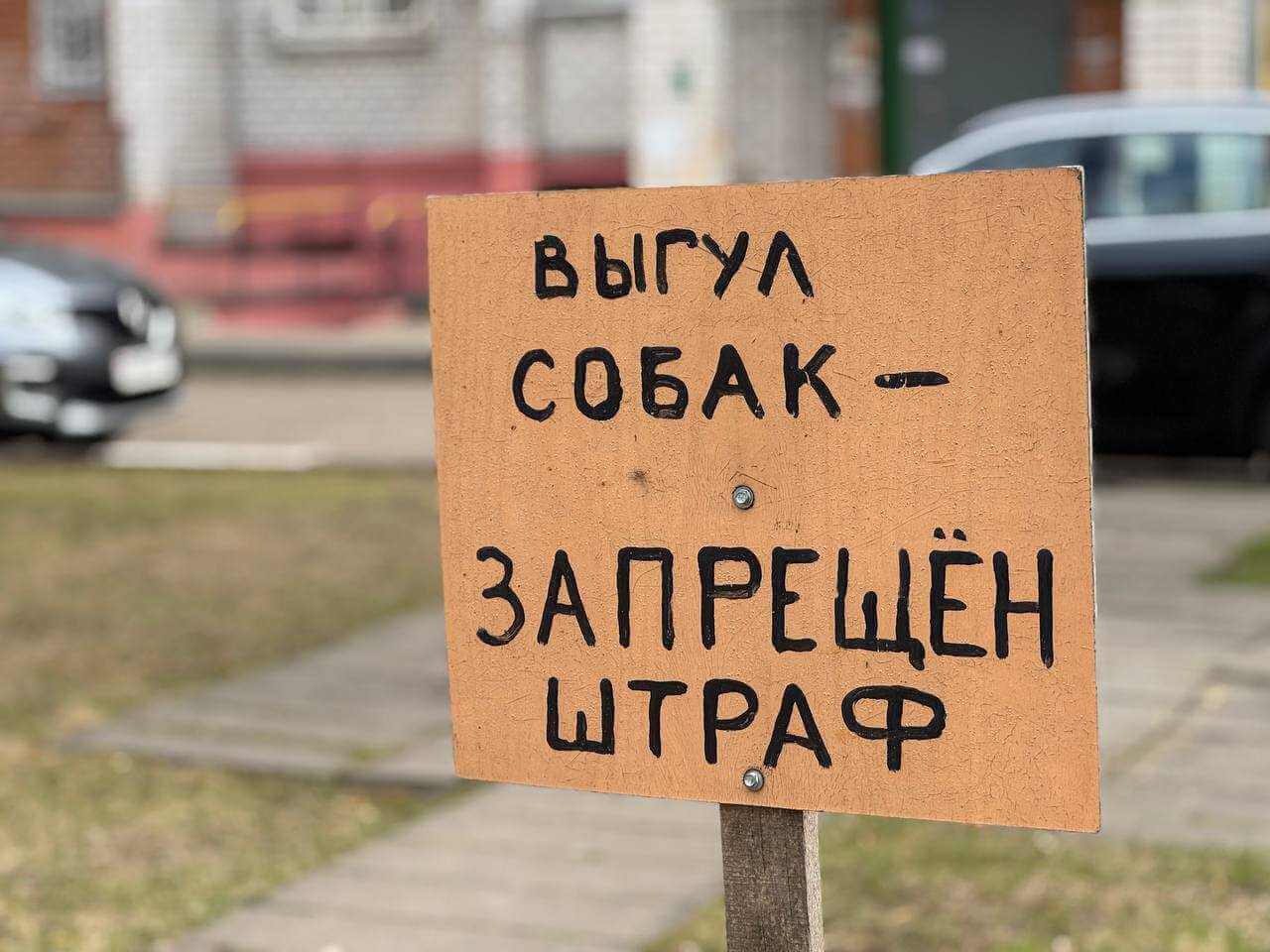 Важно знать: в Могилеве есть места для выгула «пушистиков»!