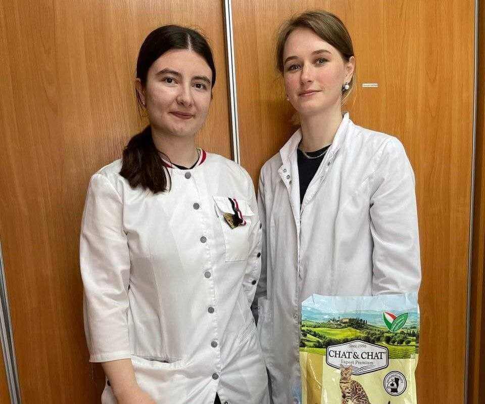 Сотрудники Могилевского кожвендиспансера поддержали бездомных животных