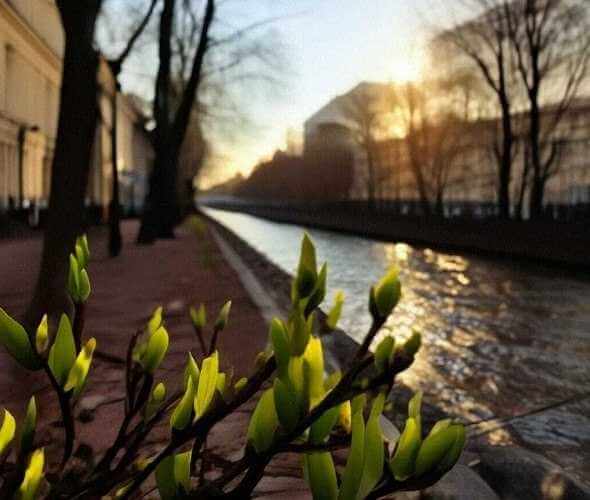 Синоптик Рябов рассказал о погоде в Могилеве на неделю с 27 апреля по 3 мая