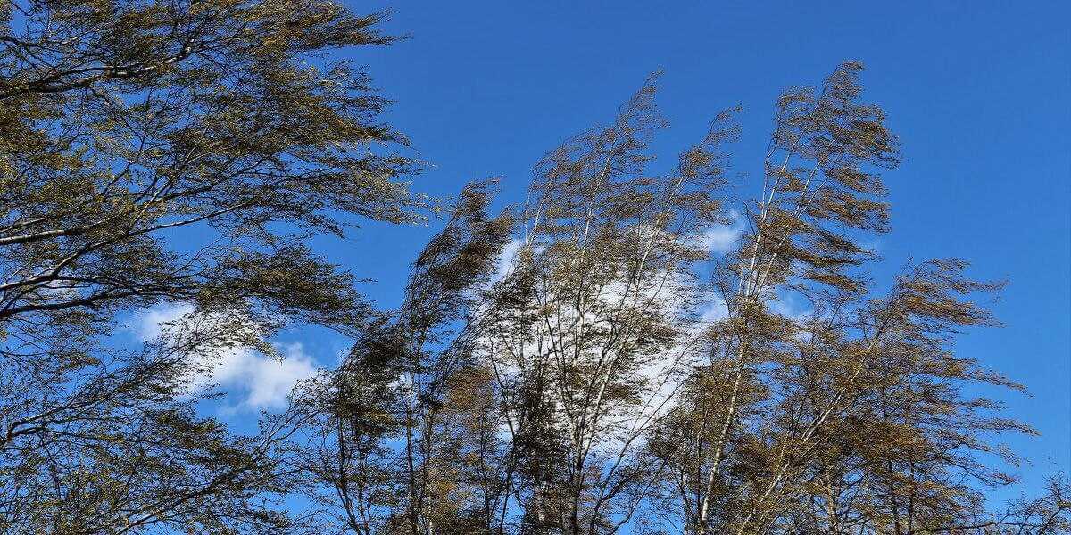 Оранжевый уровень опасности объявлен в Могилеве на 23 апреля