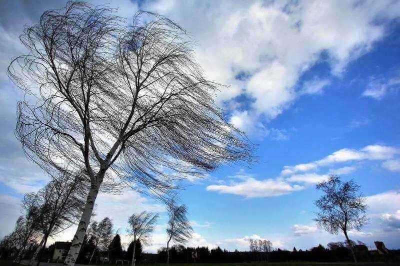 Могилев накрыло очередное усиление ветра