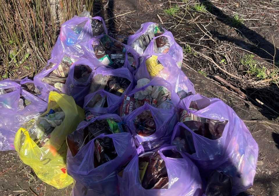 Жительница Могилева в Threads пожаловалась на мусор, оставленный людьми на природе