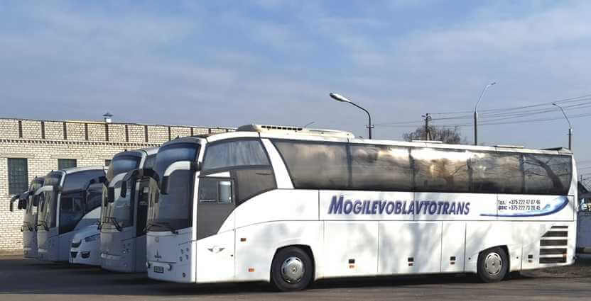 В каких автобусах могилевчанам нужно будет пристегиваться, рассказали в Минтрансе