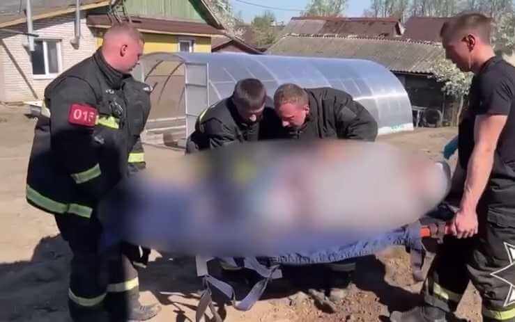 В Могилевской области у мужчины нога застряла в мотокультиваторе